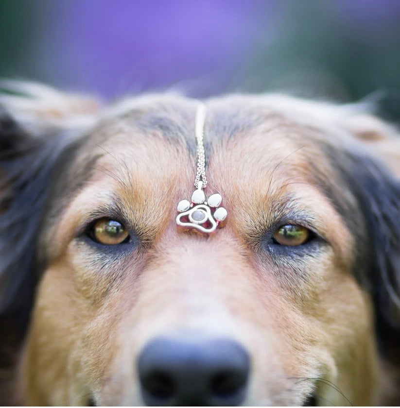 Pet Photo Projection Necklace